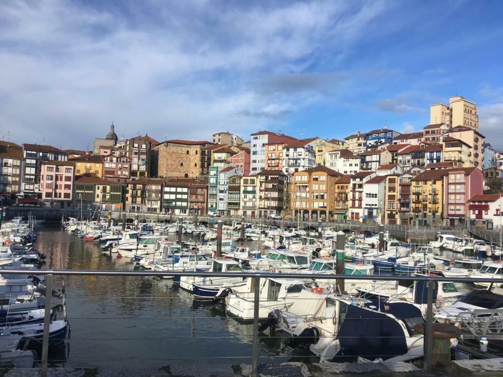 Apartamentos Urdaibai 2 Bermeo Exteriér fotografie